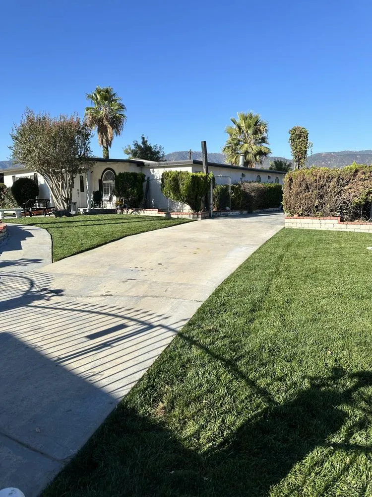 Expert yard cleanup service for beautiful yards across Rialto, CA - Garden Detail