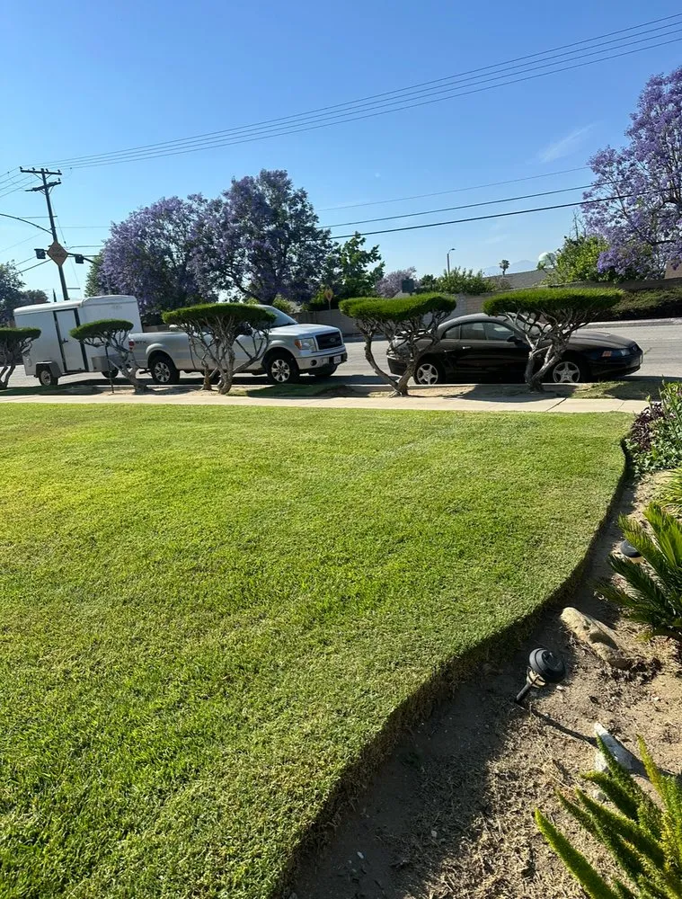 Local garden landscaping experts serving Rialto, CA - Garden Detail