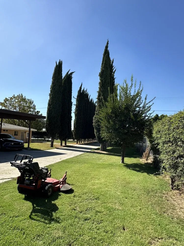 Local yard cleanup service in Rialto, CA by Garden Detail
