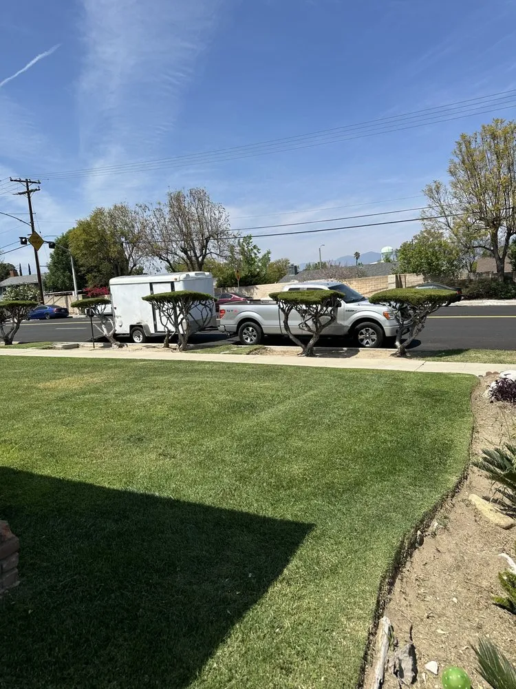 Top-rated yard maintenance in Rialto, CA by Garden Detail