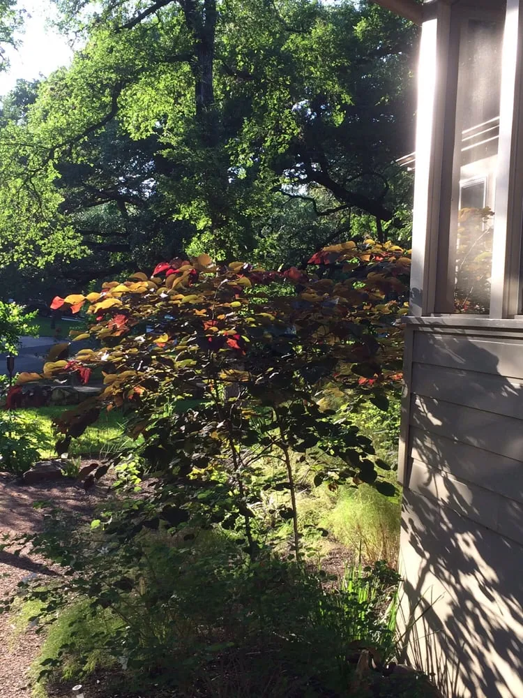 Affordable residential landscaping for homes across Austin, TX - Garden Details