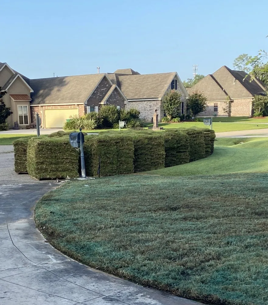 Reliable residential landscaping in New Orleans, LA by Garden Doctors