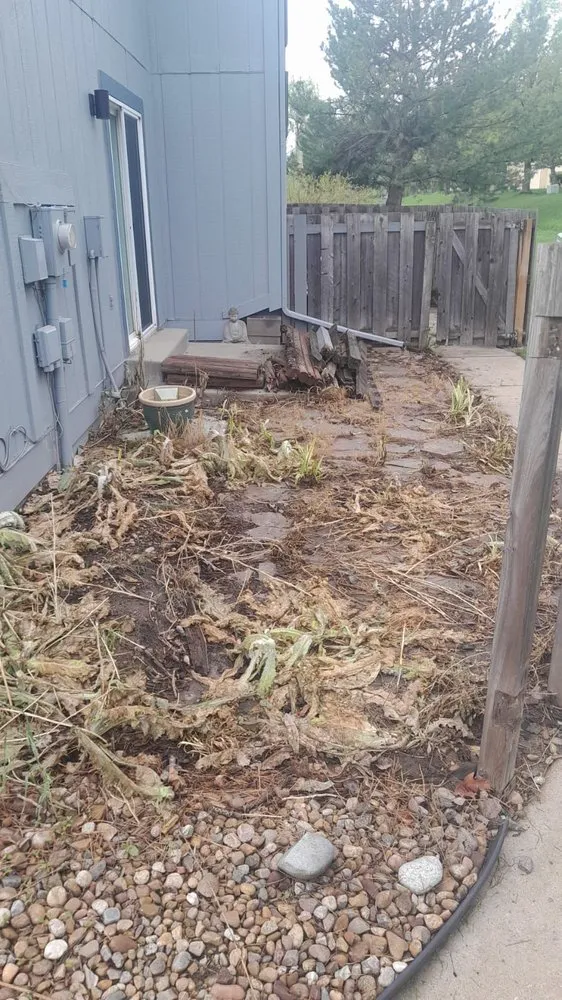 Expert landscape design in Lafayette, CO - Garden Eden Landscaping