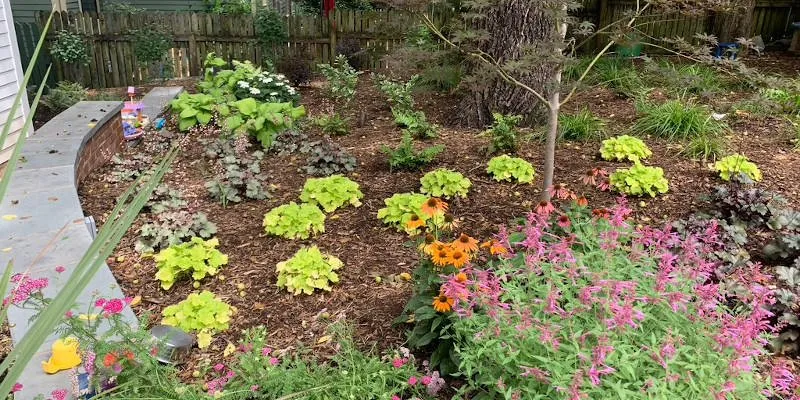 Expert landscape design for outdoor upgrades across Durham, NC - Garden Environments