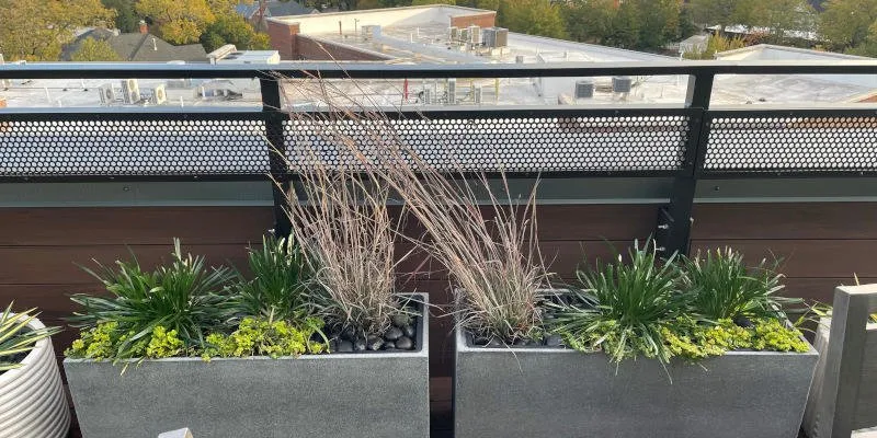 Top-rated yard cleanup service in Durham, NC - Garden Environments