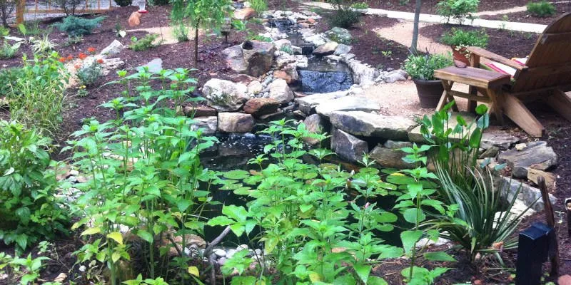 Trusted outdoor landscaping in Durham, NC - Garden Environments
