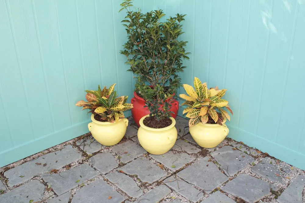 Reliable landscaping services in Saint Rose, LA by Garden Environments