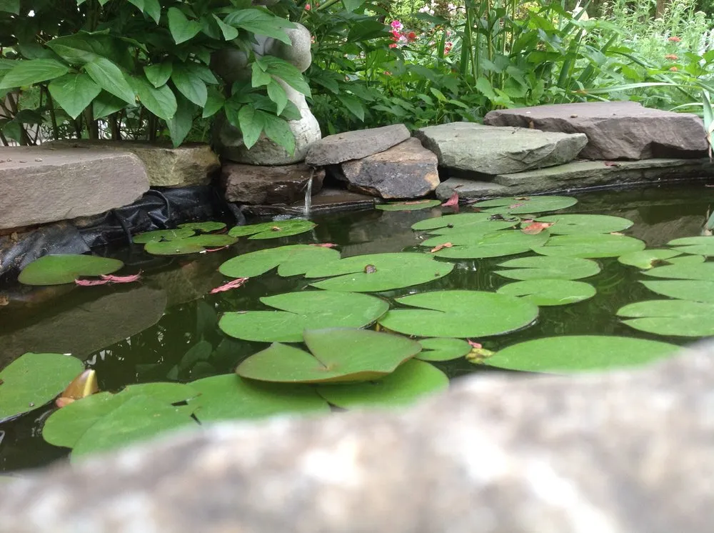 Top-rated landscaping services with custom design across Locust Grove, VA - Garden Escapes