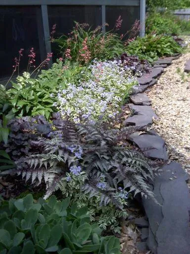 Reliable yard cleanup service experts serving Locust Grove, VA - Garden Escapes
