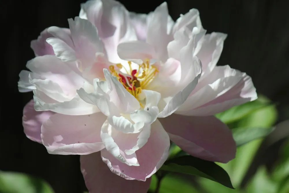 Trusted garden landscaping in Locust Grove, VA by Garden Escapes