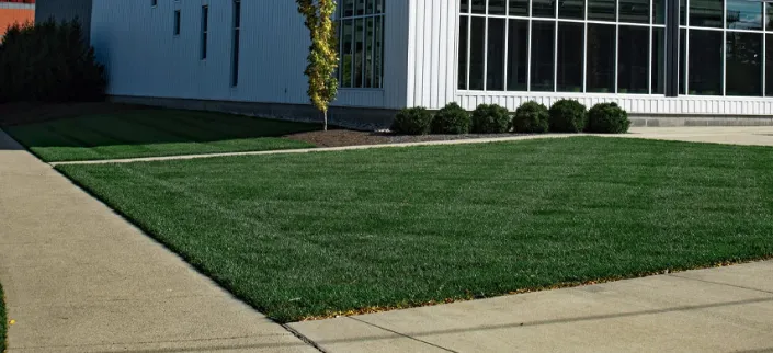 Professional yard maintenance experts serving Vineland, NJ - Garden Estate Management