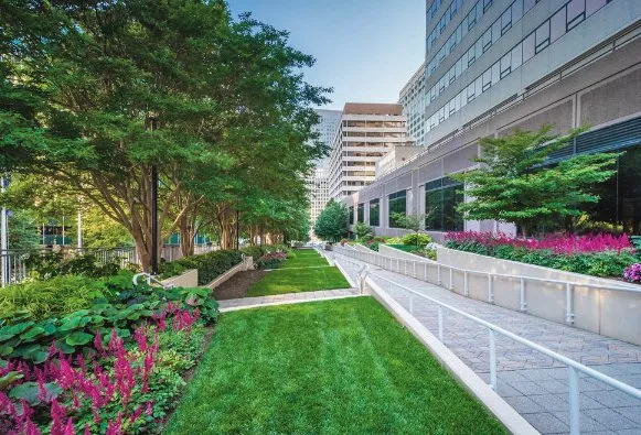 Top-rated yard maintenance for beautiful yards in Vineland, NJ by Garden Estate Management