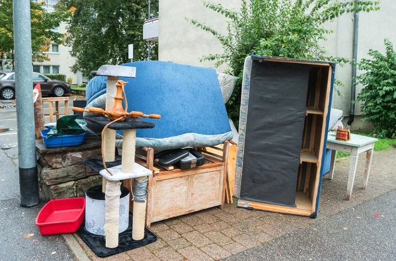 Affordable yard cleanup service with custom design in Vineland, NJ by Garden Estate Management