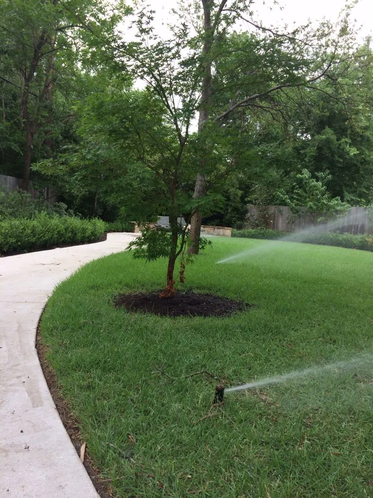 Professional landscape installation with custom design across Austin, TX - Garden Experts