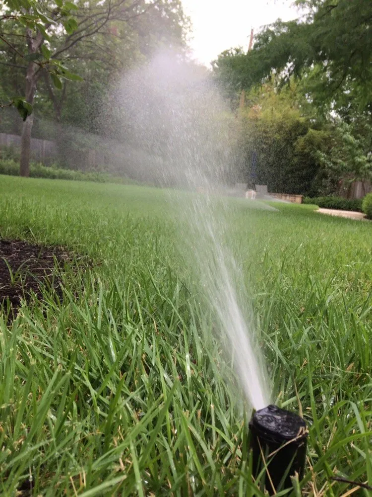 Trusted garden landscaping experts serving Austin, TX - Garden Experts