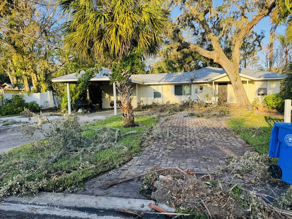 Trusted lawn mowing service experts serving Tampa, FL - Garden Experts