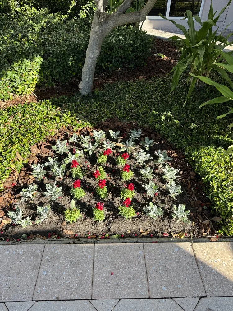 Reliable yard cleanup service for outdoor upgrades across Tampa, FL - Garden Experts