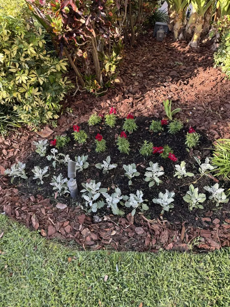 Professional yard maintenance for outdoor upgrades in Tampa, FL by Garden Experts