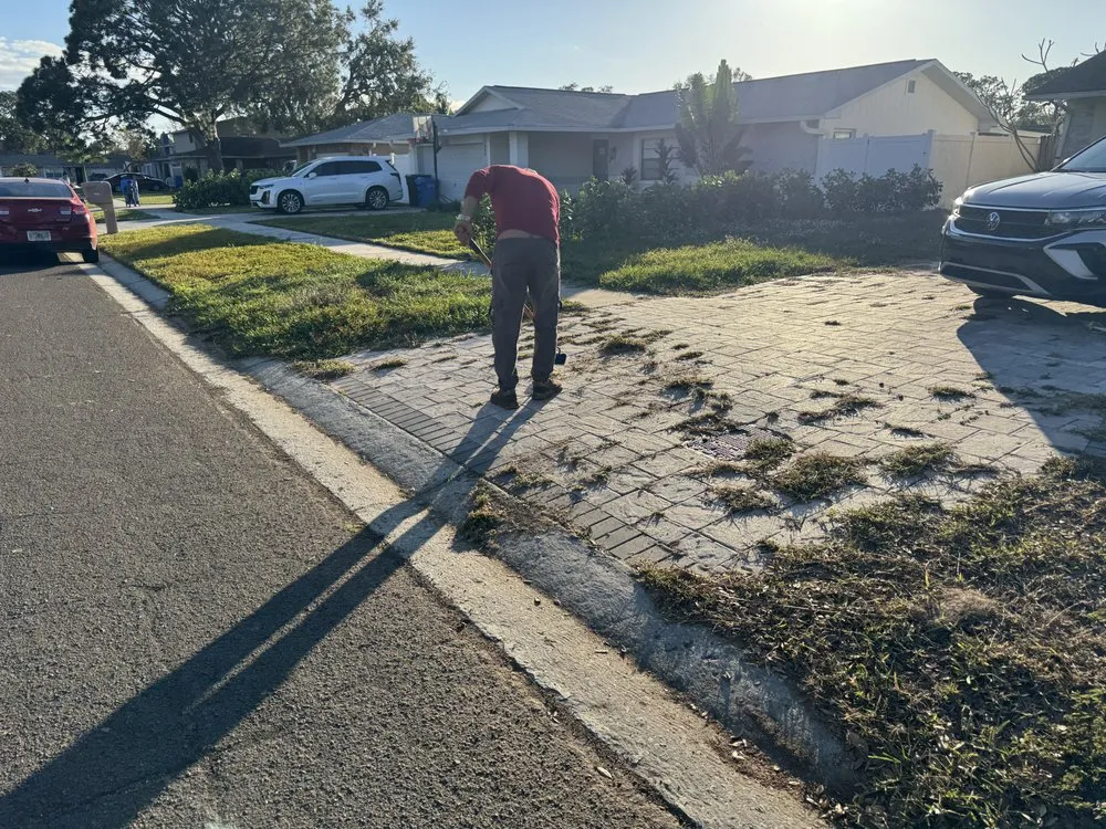 Custom lawn mowing service experts serving Tampa, FL - Garden Experts