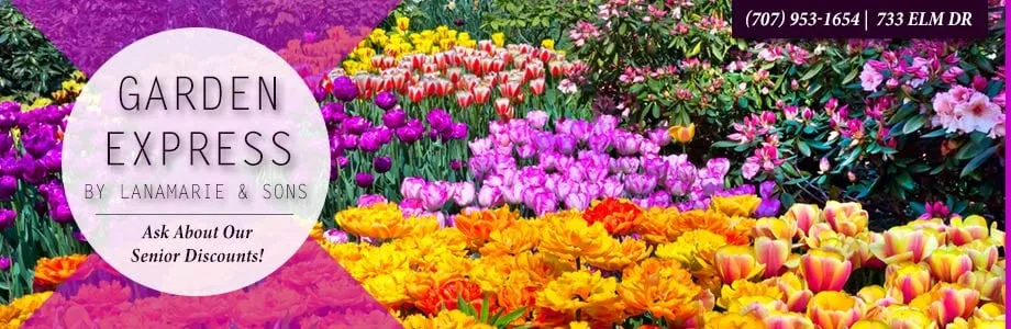 Expert landscape installation for residential properties across Petaluma, CA - Garden Express By Lanamarie & Sons