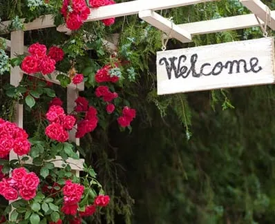 Affordable residential landscaping for beautiful yards across Petaluma, CA - Garden Express By Lanamarie & Sons