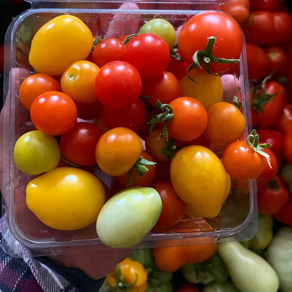 Reliable garden landscaping in North Las Vegas, NV by Garden Farms of Nevada