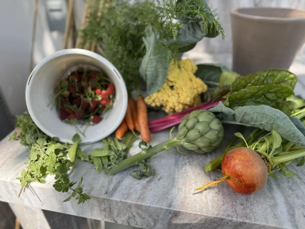 Professional lawn care service for residential properties across North Las Vegas, NV - Garden Farms of Nevada