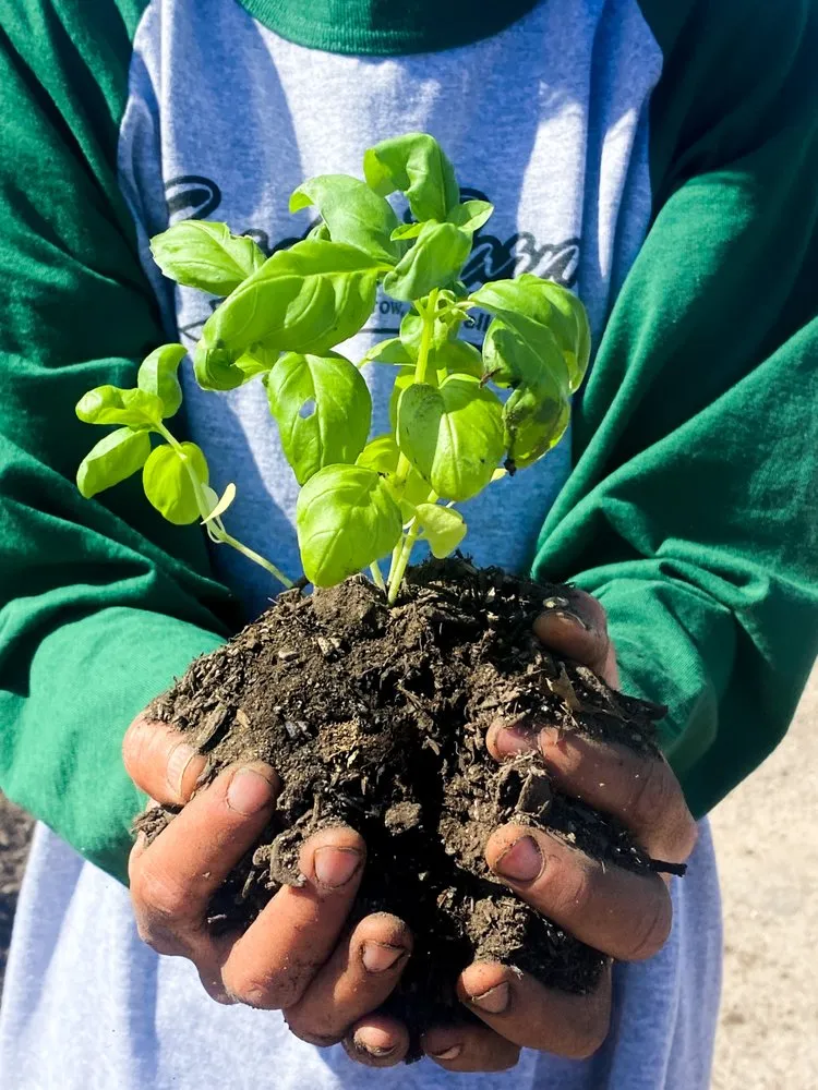 Local landscape design experts serving North Las Vegas, NV - Garden Farms of Nevada