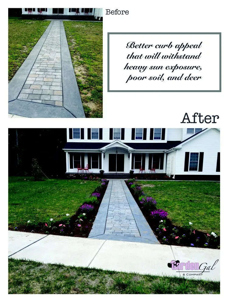 Trusted landscape design in Palmyra, NJ - Garden Gal & company