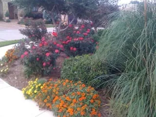 Expert residential landscaping in Highland Village, TX by Garden Gate Design & Landscape