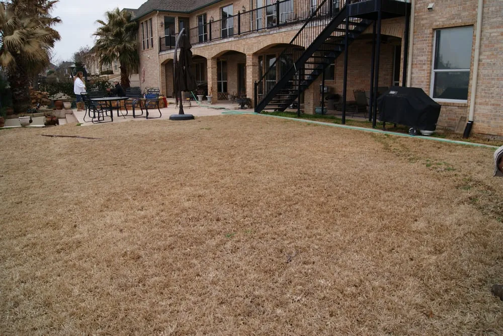 Expert yard maintenance for year-round maintenance in Highland Village, TX by Garden Gate Design & Landscape