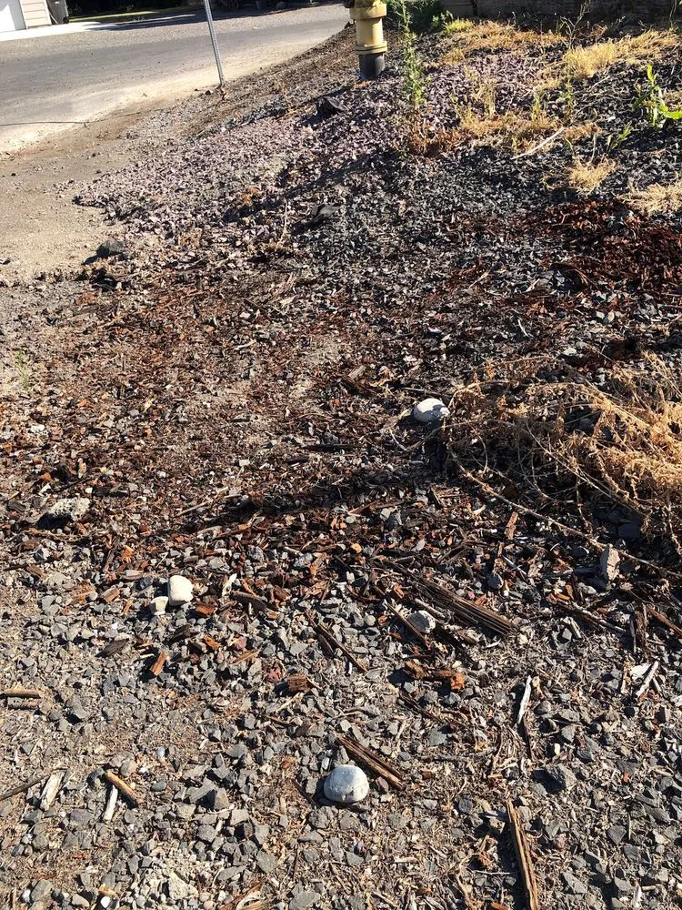 Reliable garden landscaping in Pasco, WA by Garden Geeks Landscaping & Swimming Pools