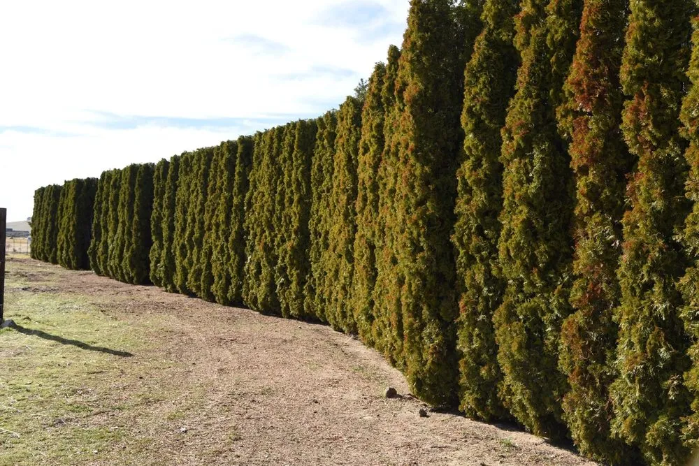 Local landscape installation in Pasco, WA by Garden Geeks Landscaping & Swimming Pools