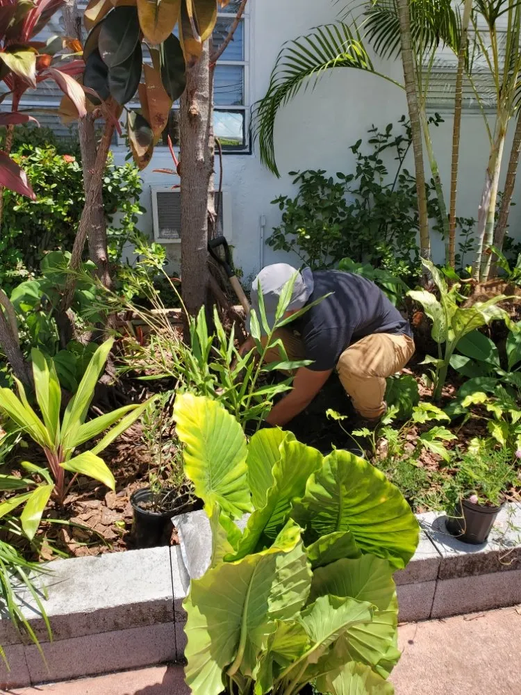 Trusted landscape installation experts serving SUNNY ISL BCH, FL - Garden Girl Sofla