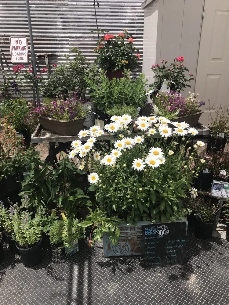 Reliable yard maintenance for residential properties in North Platte, NE by Garden Glove Inc