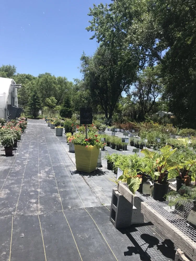 Affordable yard maintenance in North Platte, NE by Garden Glove Inc