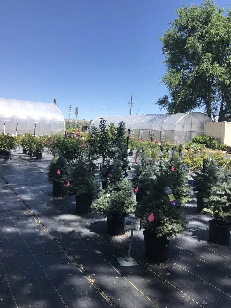 Custom yard cleanup service in North Platte, NE by Garden Glove Inc