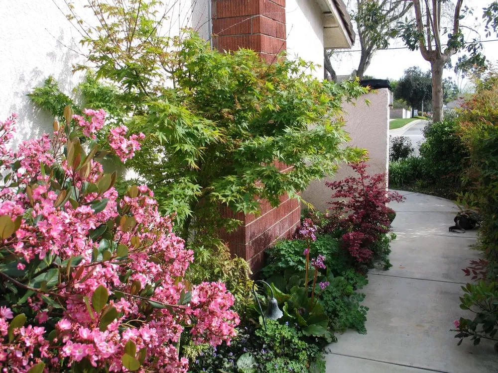 Custom lawn care service for beautiful yards in South Pasadena, CA by Garden Gnome Design