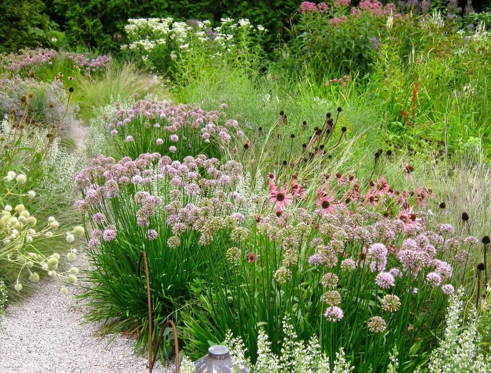 Professional lawn mowing service in South Pasadena, CA - Garden Gnome Design