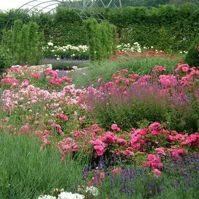 Expert residential landscaping in South Pasadena, CA - Garden Gnome Design