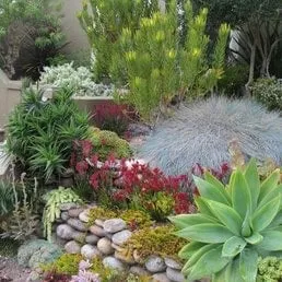 Affordable yard cleanup service in South Pasadena, CA - Garden Gnome Design