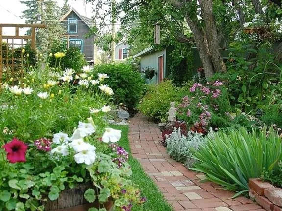 Custom lawn care service in South Pasadena, CA by Garden Gnome Design