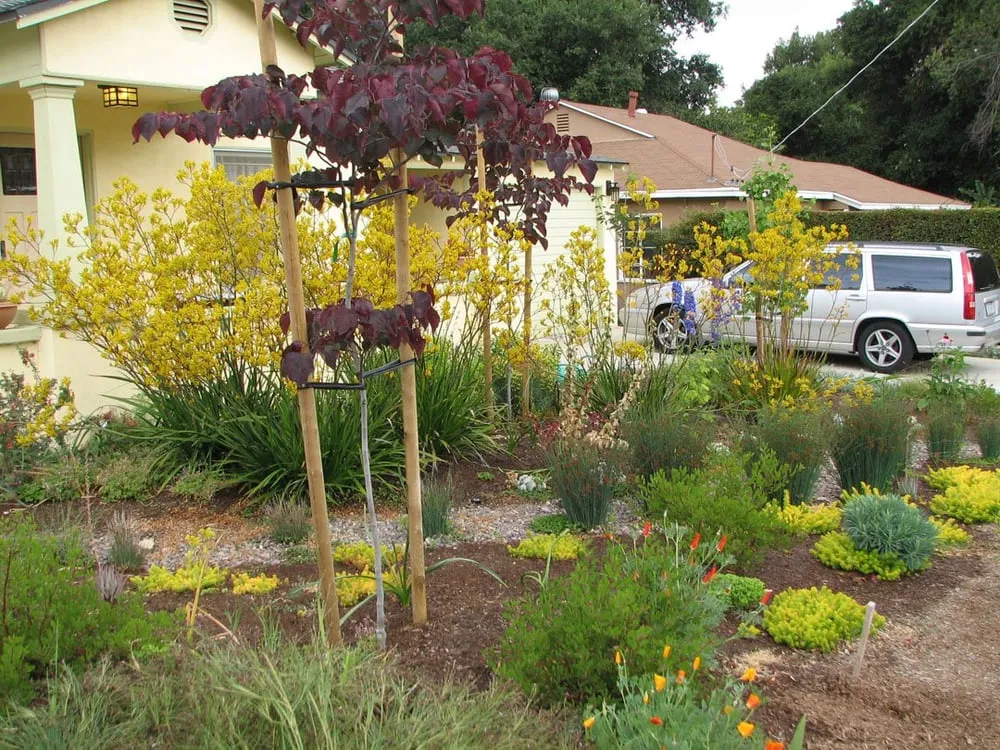 Expert lawn care service with custom design across South Pasadena, CA - Garden Gnome Design
