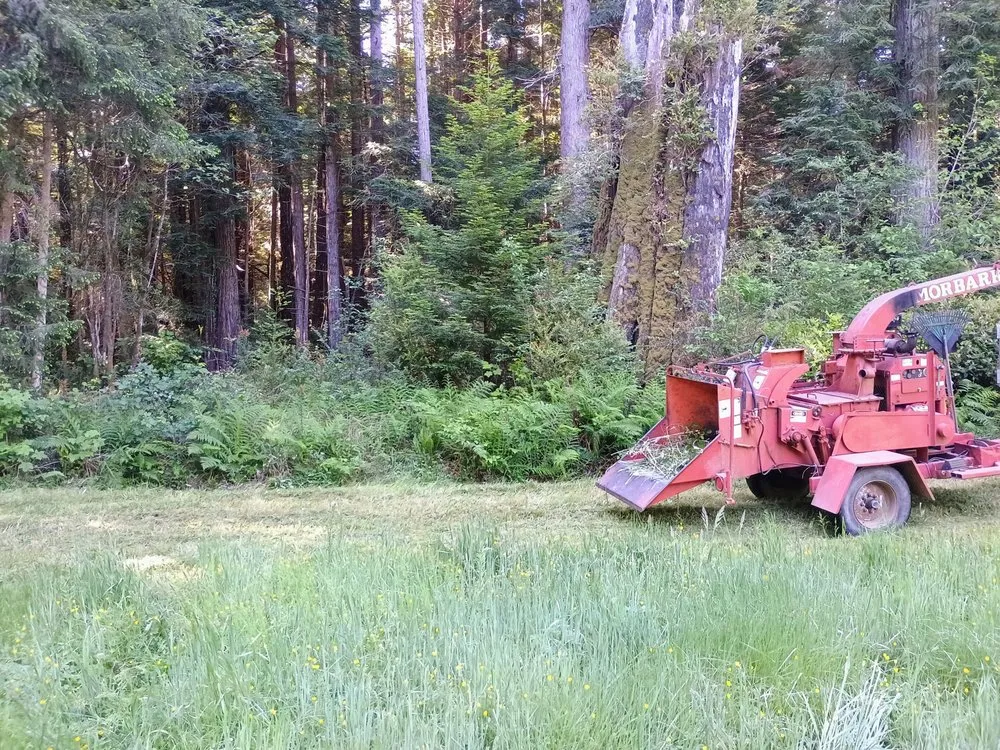 Custom lawn care service for beautiful yards across Harbor, OR - Garden Gnome