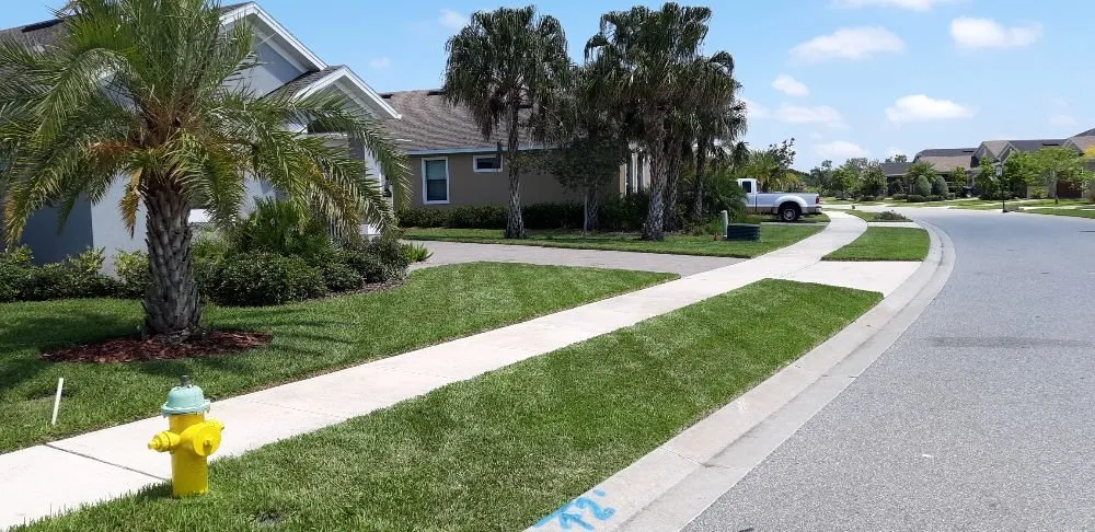 Custom landscape design for homes across Melbourne, FL - Garden Gnomes Yard Maintenance