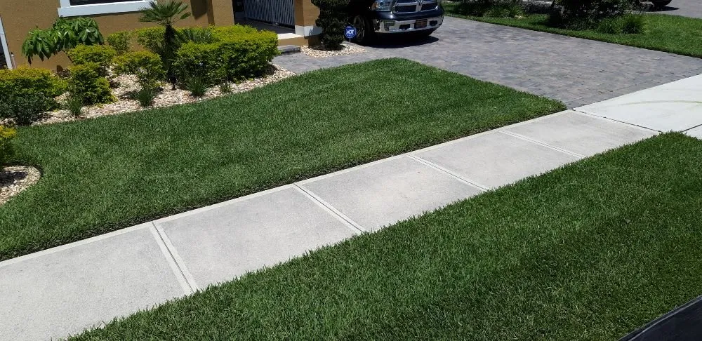 Expert garden landscaping in Melbourne, FL by Garden Gnomes Yard Maintenance