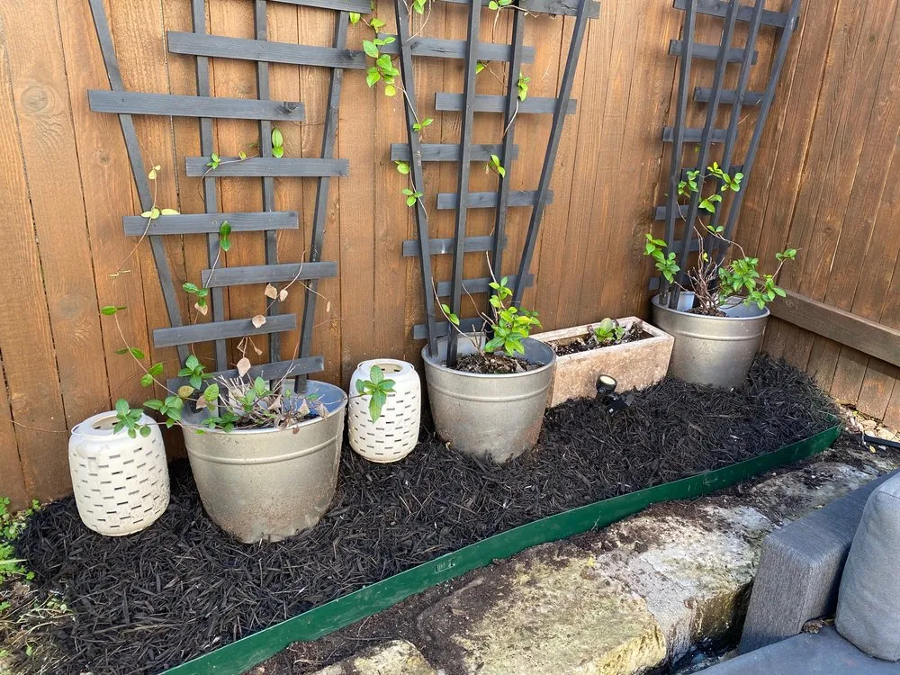 Trusted garden landscaping experts serving Austin, TX - Garden Goat