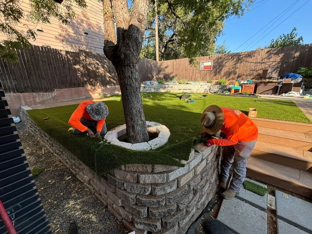 Professional landscaping services in Austin, TX by Garden Goat