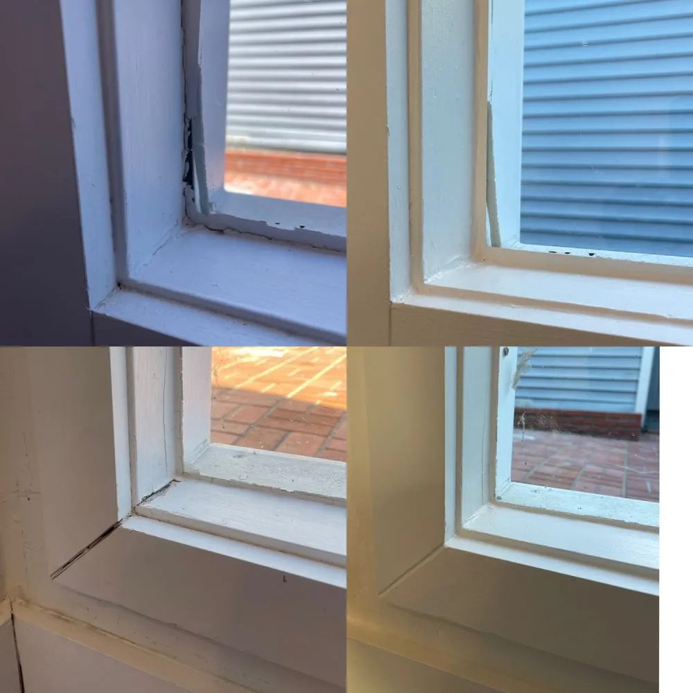 Trusted landscaping services in Lake Forest, CA by Garden Gods