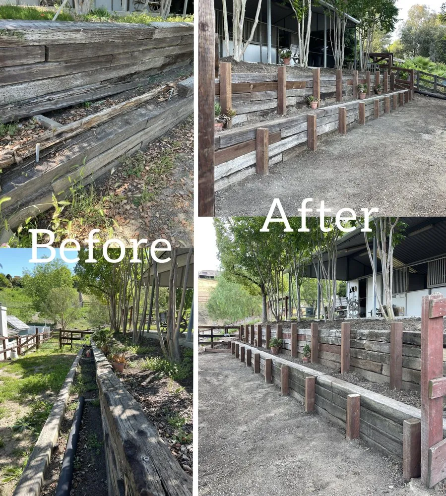 Expert yard cleanup service in Lake Forest, CA - Garden Gods